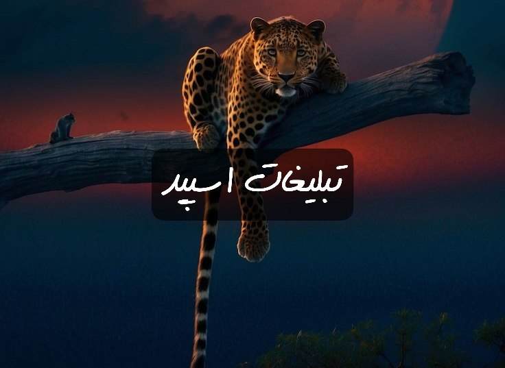 گروه تلگرام کافه چت