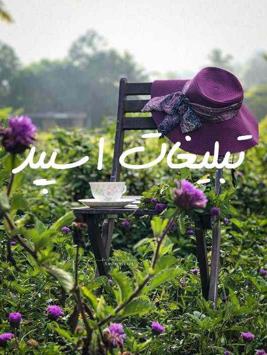 گروه چت تلگرام تورک ایرانیان