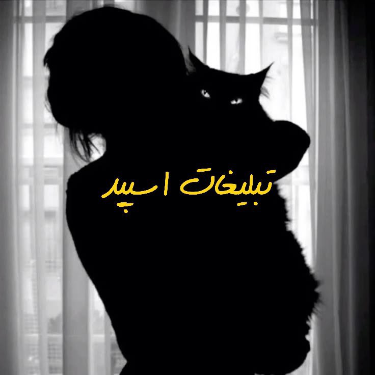 گروه تلگرام جذابای دوس داشتنی سیرجون