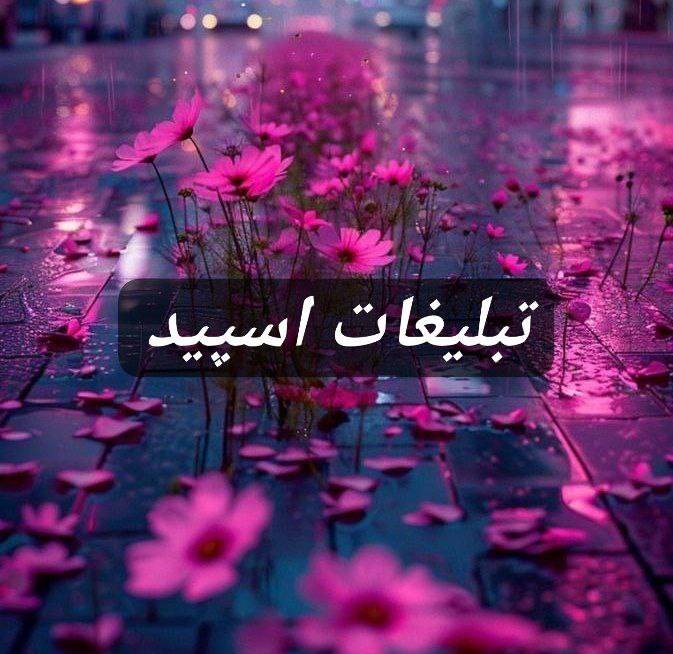 گروه تلگرام سیتی لند
