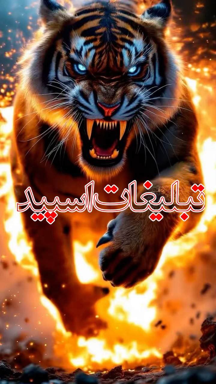 تودلیا❤️❤️