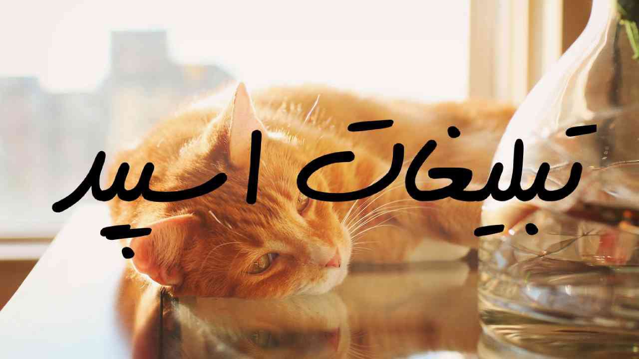 گروه چت تلگرام دوپامین 