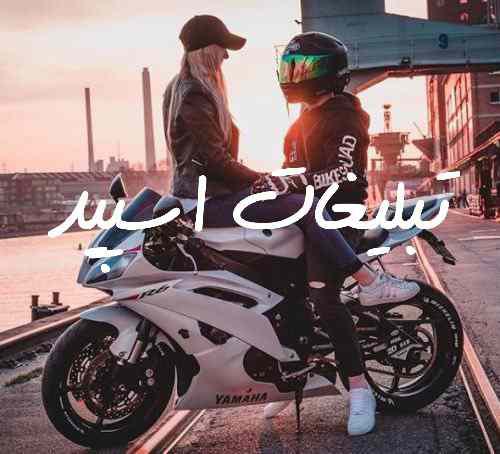 گروه چت تلگرام شب نشینی با پلنگ. رفقای مشهدوساوه
