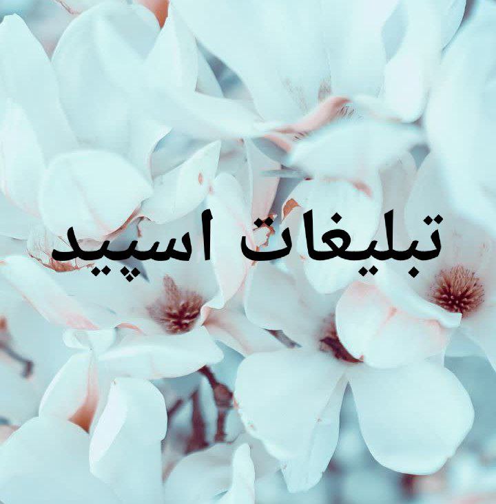 گروه تلگرام چتروم سینگل ها