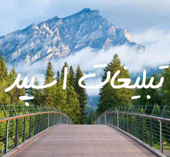 گروه چت تلگرام سلطان دلها دختر پسرای قم