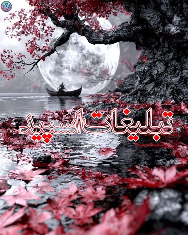 𝙆𝙊𝙇𝘽𝙀𝙃 𝙊𝙎𝙃𝘼𝙂𝙃 (3)