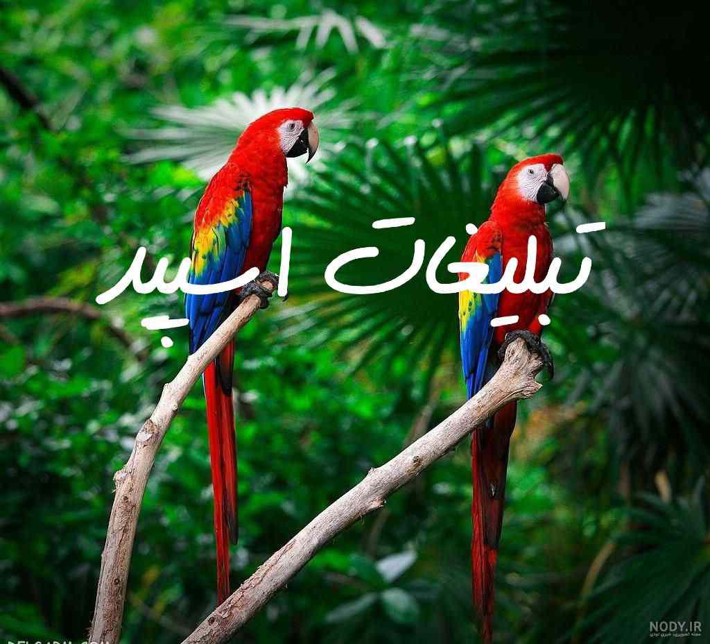کانال واتساپ عکس پروفایل عاشقانه دونفره