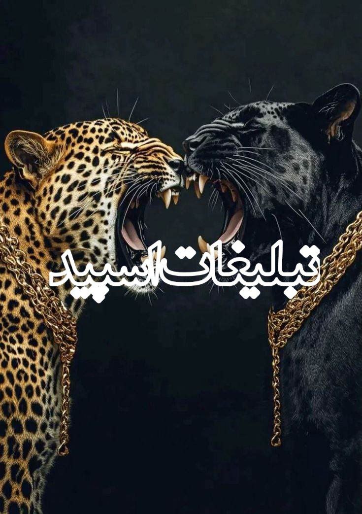 وایلد ولف (124)