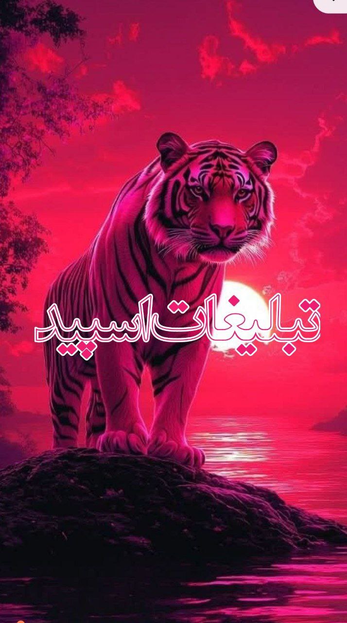 وایلد ولف (65)