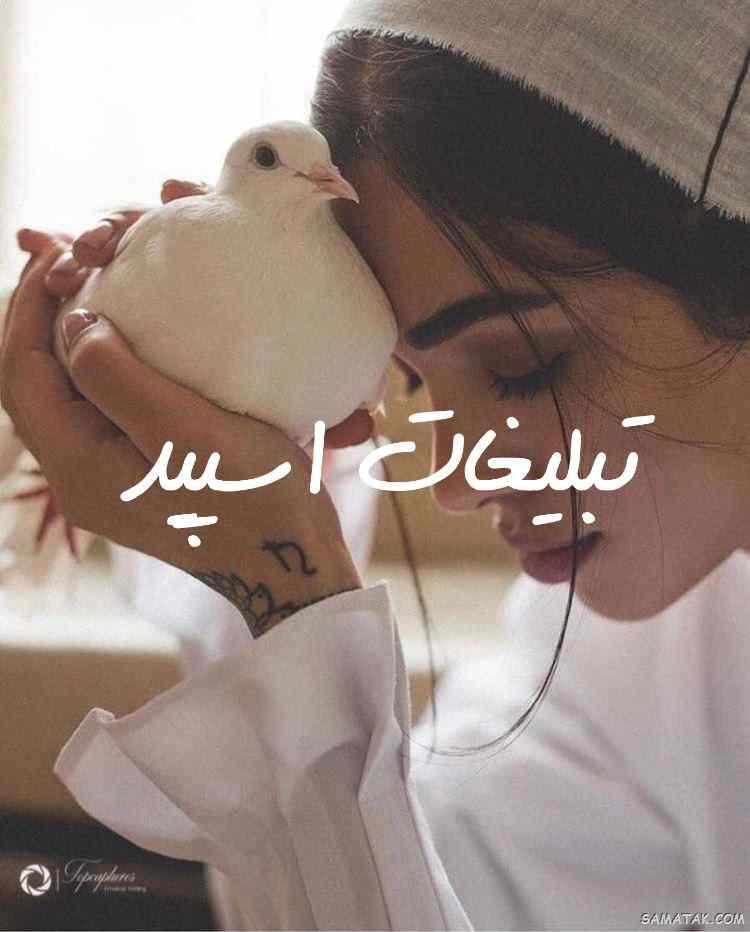 گروه چت تلگرام بامرام های تهران و کرج