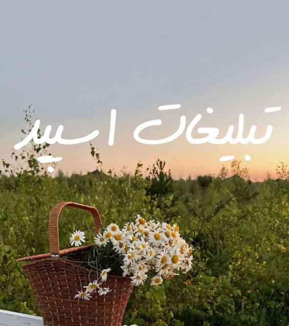 گروه چت تلگرام دورهمی اسفنجی