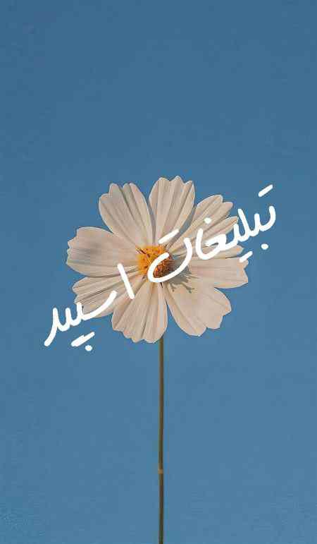 کانال ایتا ترفند، ایده و دانستنی