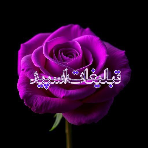 ولف لند (6)