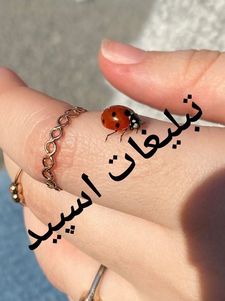 گروه چت تلگرام رفقای ناب