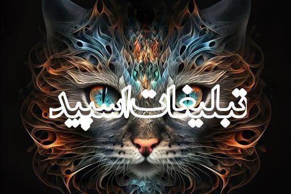 وایلد ولف|WILD WOLF (108)