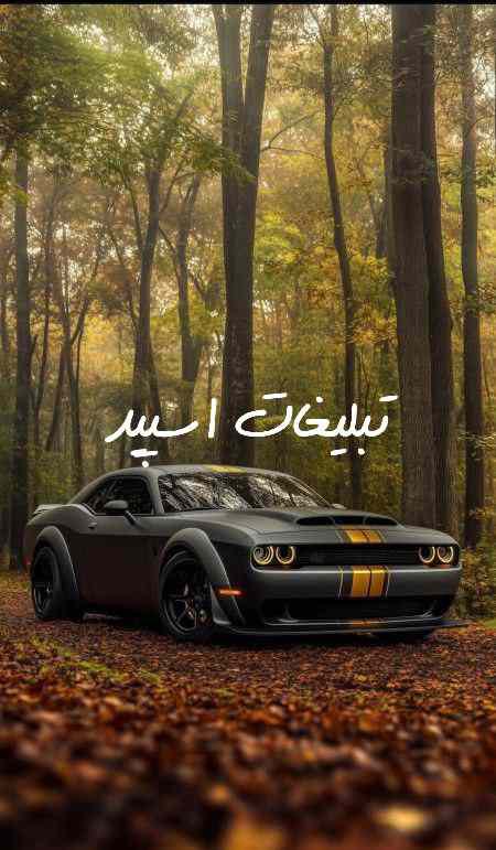 گروه چت تلگرام دورهمی رفقا