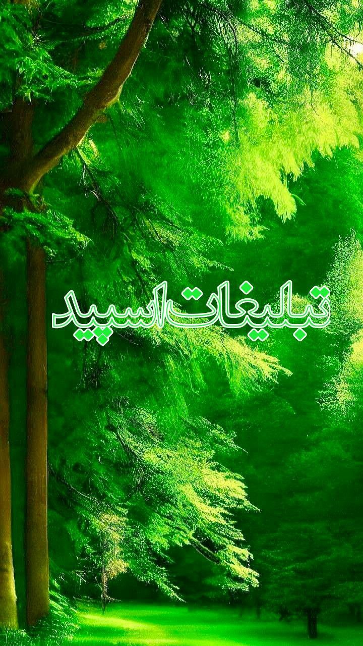 دورهمی دوستان (20)