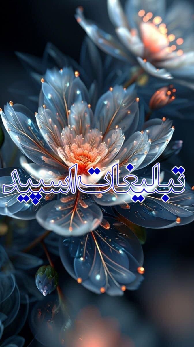 🔹پیج نگین نجفیان