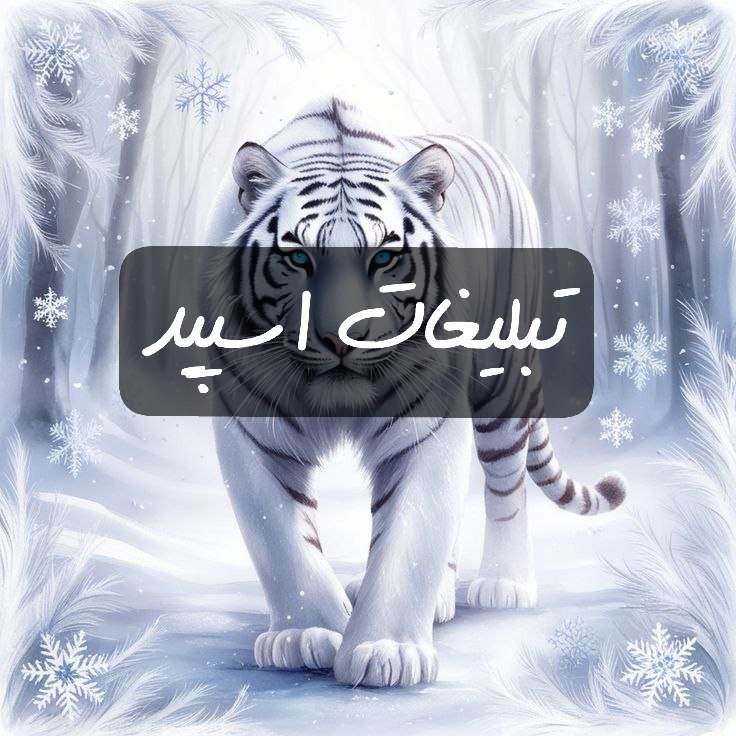 گروه تلگرام خودمونی