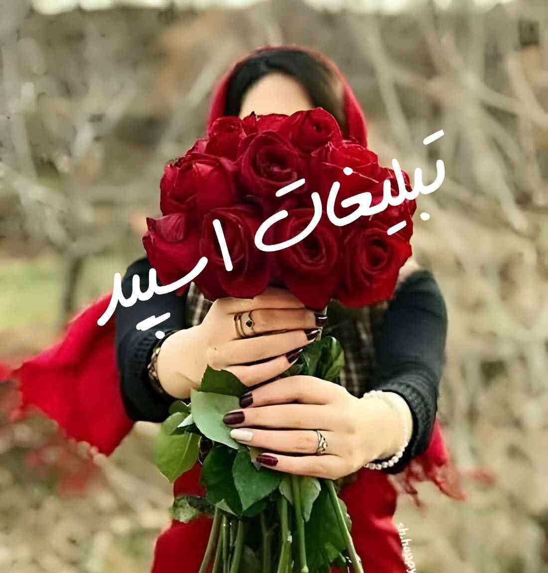 گروه چت تلگرام کافه جنوب