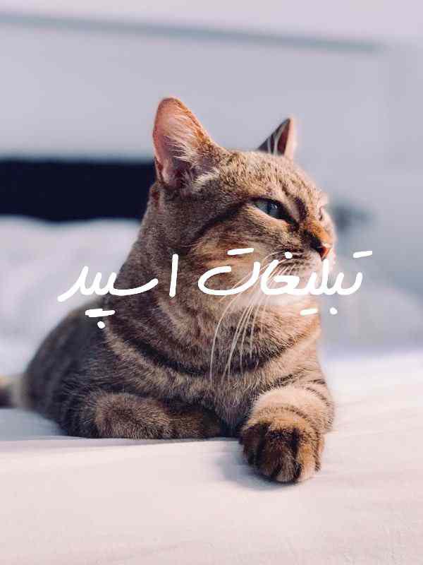 گروه چت تلگرام کلبه پاییزی