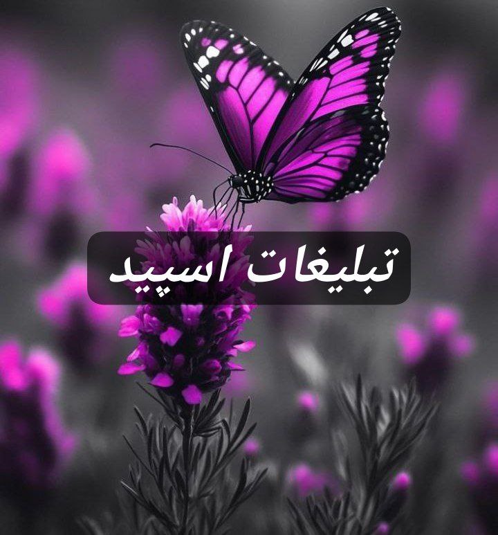 گروه تلگرام مورفین 