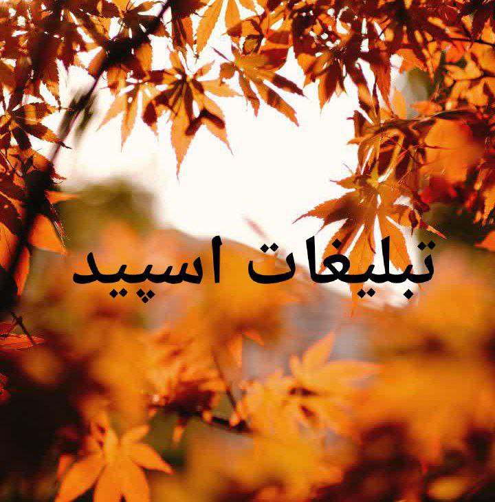 گپ تلگرام محفل عشق