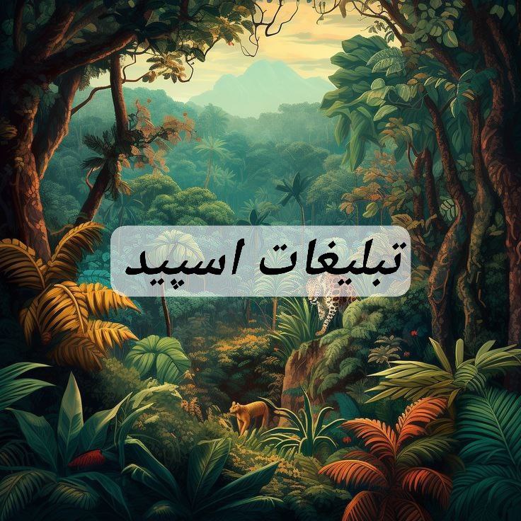 گروه تلگرام 𓄂ꪰ𓀛𝘚𝑰𝓛 Ꮴ𝜠𝑅𖤹𝜧𝓞𝓞𝜨𓀛𓆃