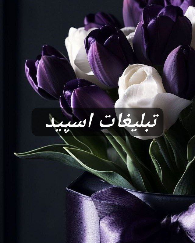 گروه تلگرام دوستان ارمان