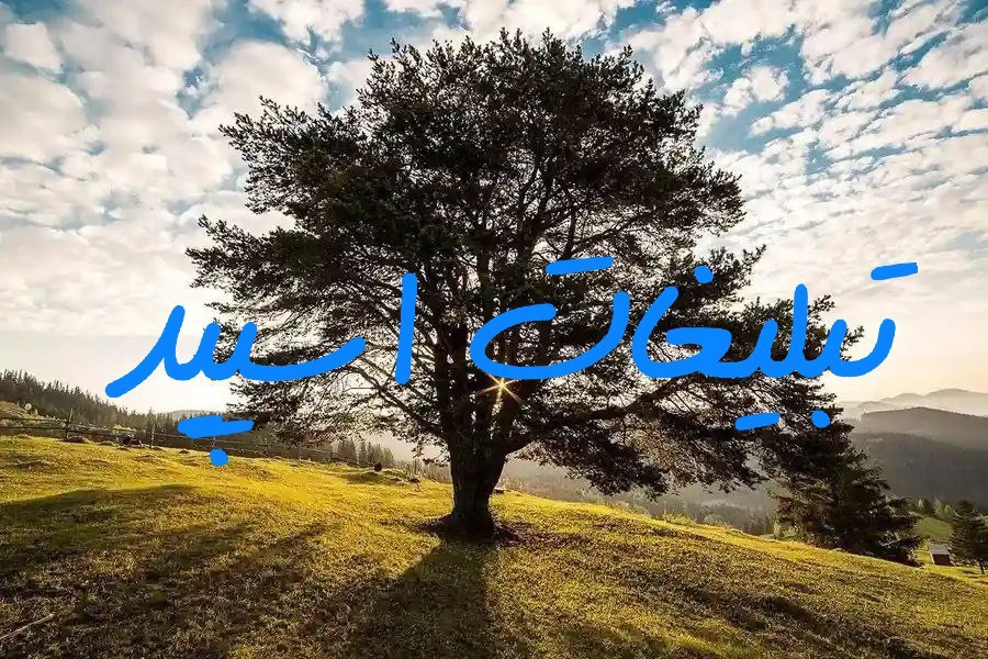 گروه چت تلگرام باهم