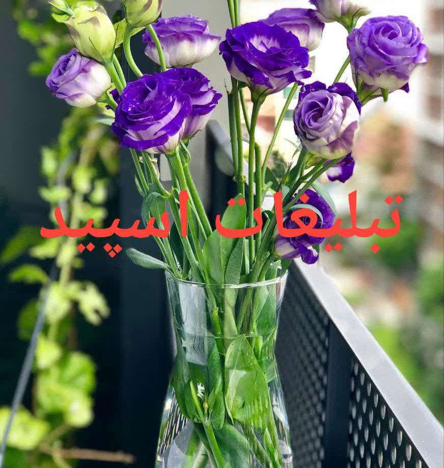 گپ تلگرام چتروم سینگل هااا