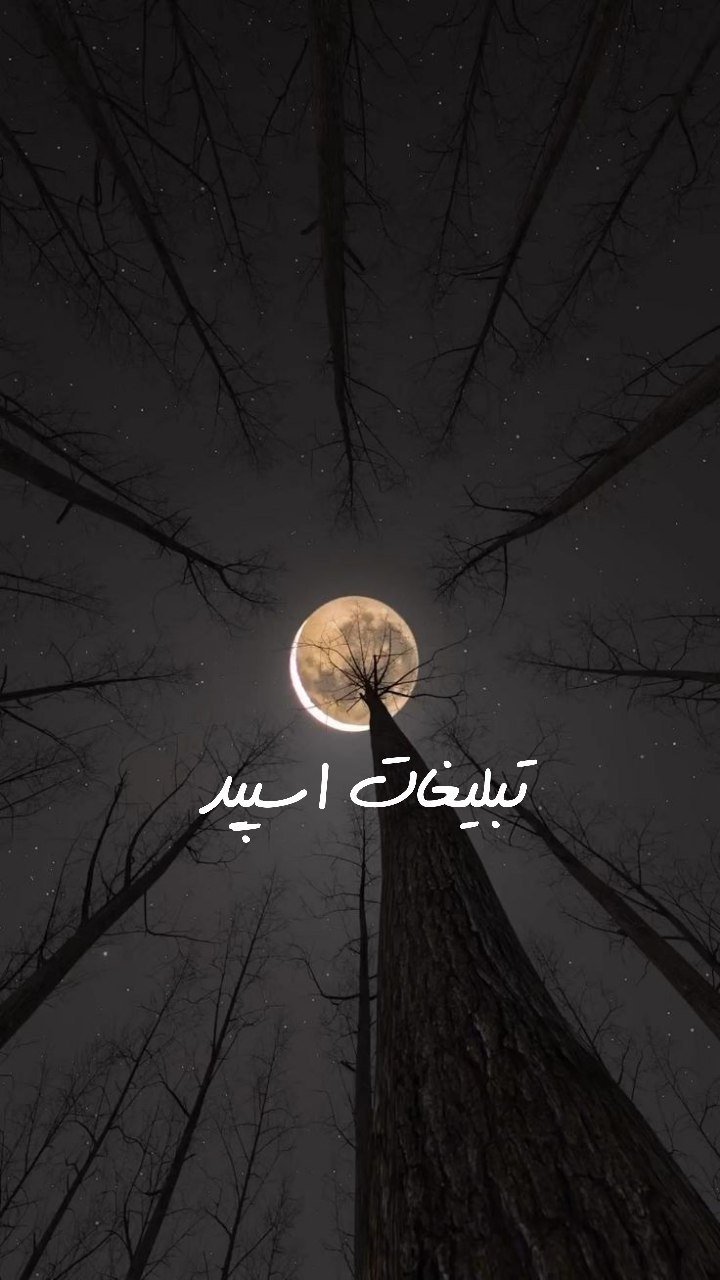 گروه تلگرام مشهدیا