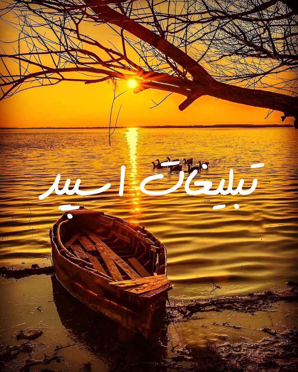پیج اینستاگرام قصه گویی آریانا