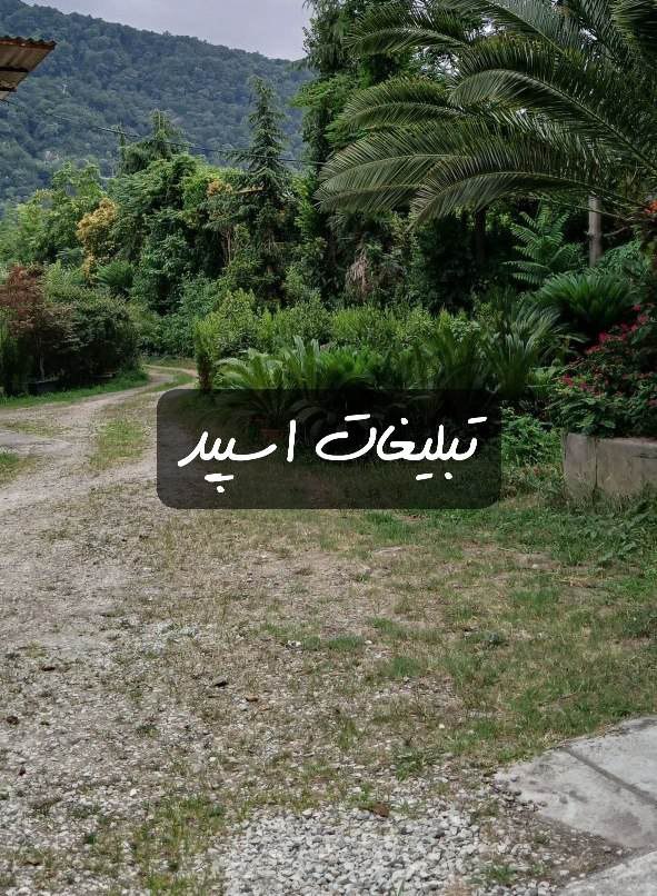 گروه تلگرام ایوان لاو