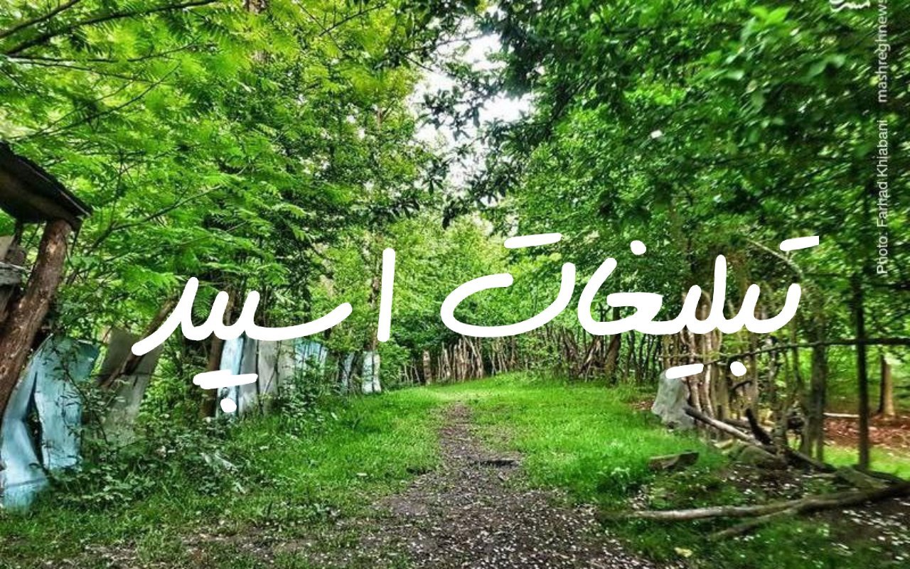 گروه چت تلگرام دوستان ناب