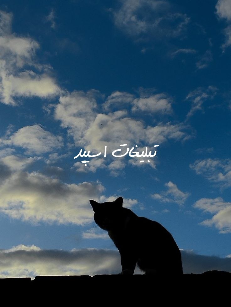 گپ تلگرام دورهمی دوستان