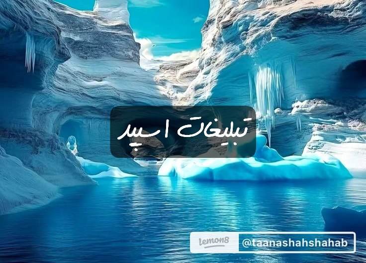 گروه تلگرامکافه لاس وگاس
