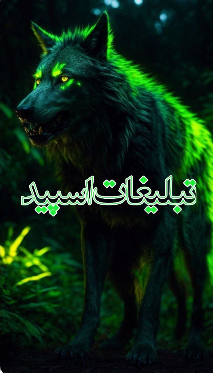 وایلد ولف (33)