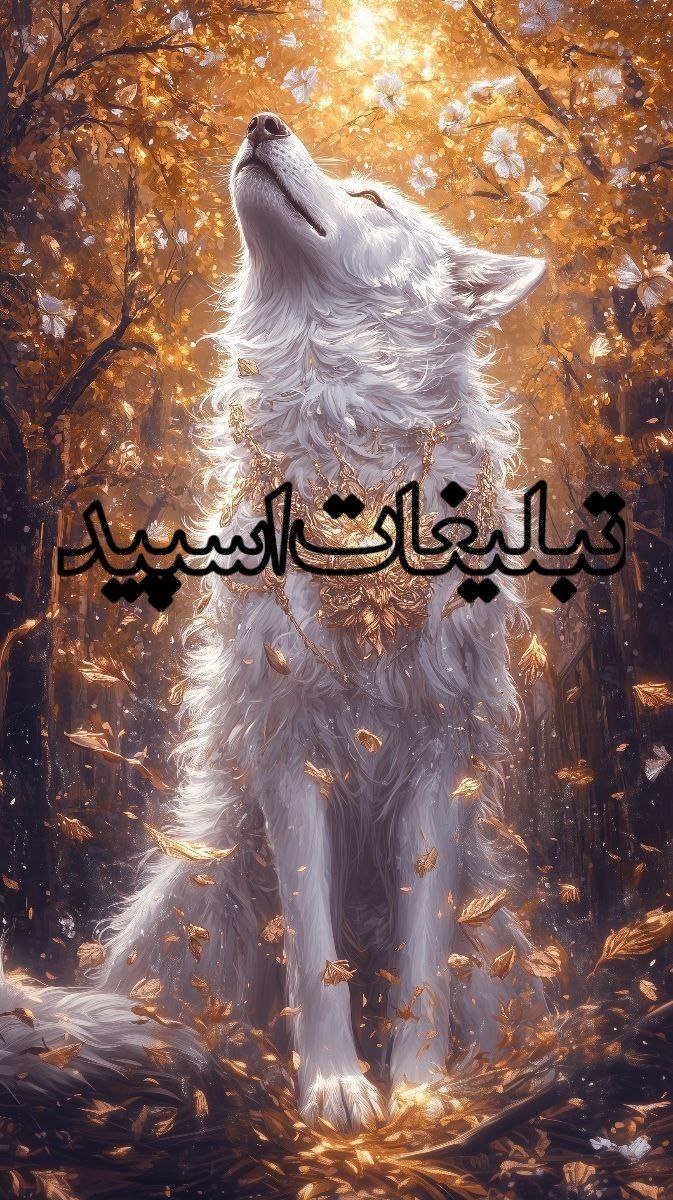 وایلد ولف (239)