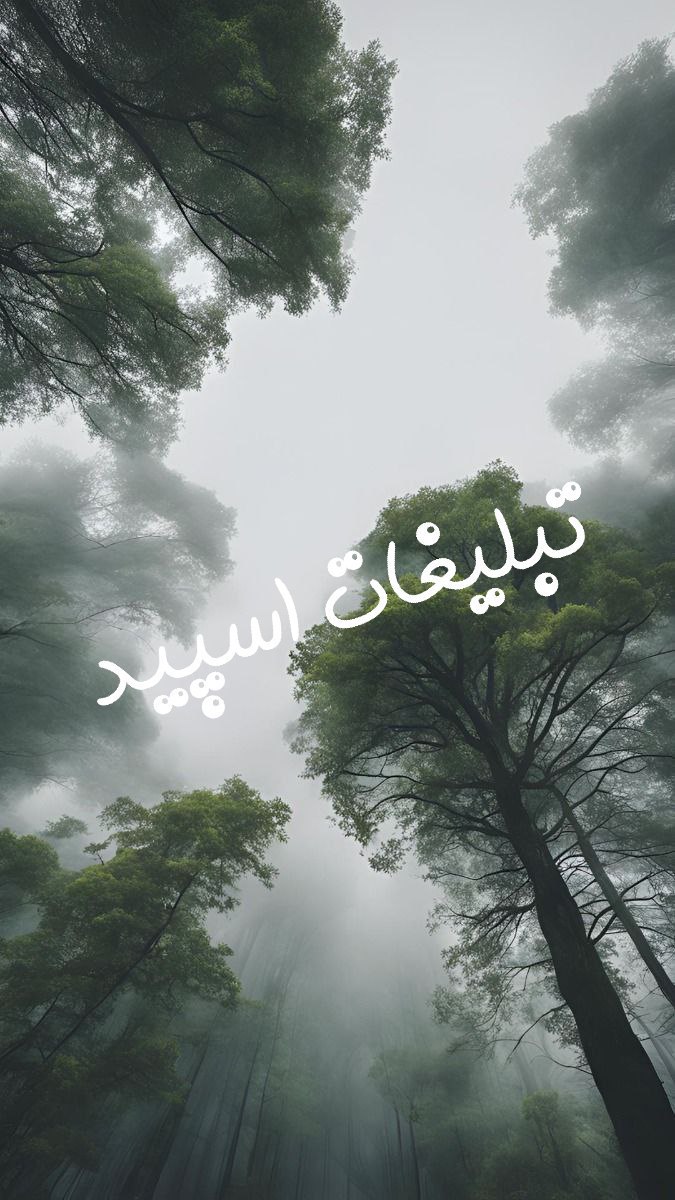 چتکده وایلدولف