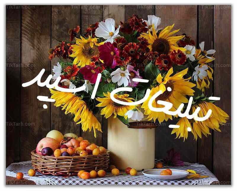 کانال روبیکایی موتور سنگین