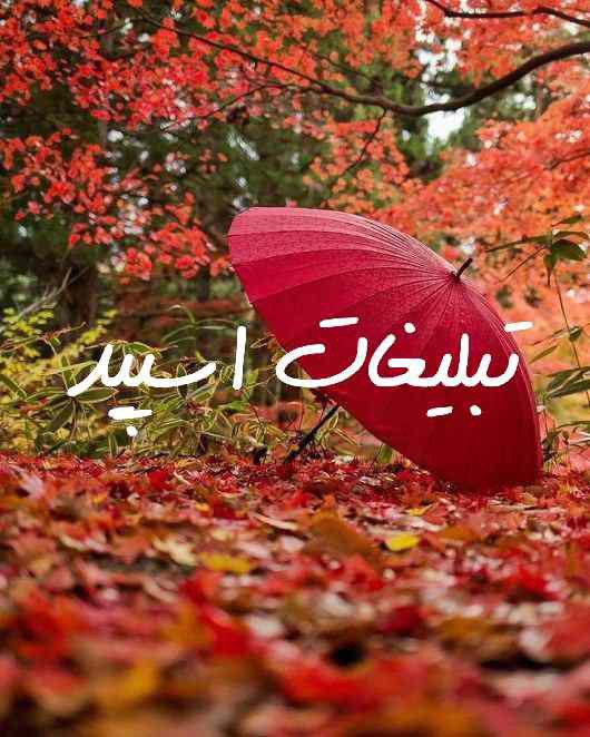 گروه چت تلگرام پارادایس