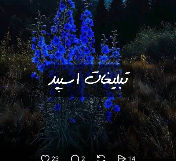 گروه تلگرام وایلدولف