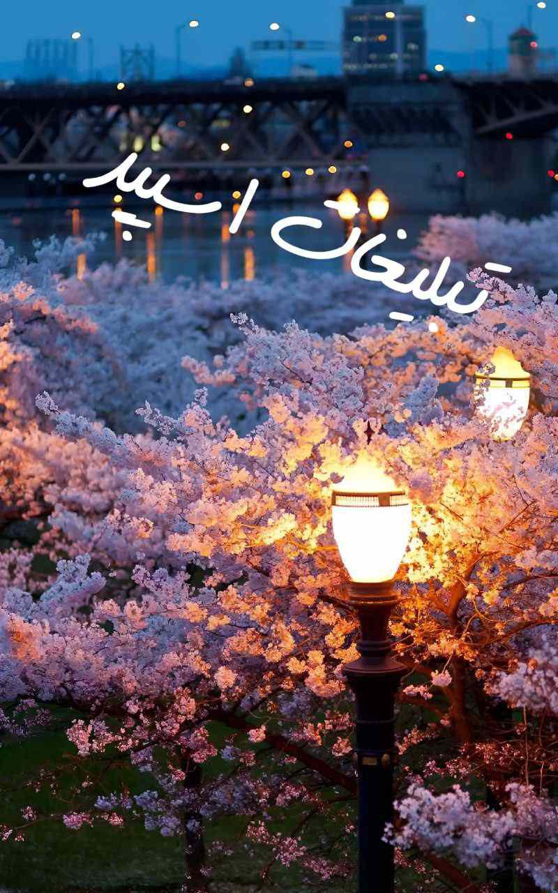 گروه چت تلگرام گلچین با معرفتها