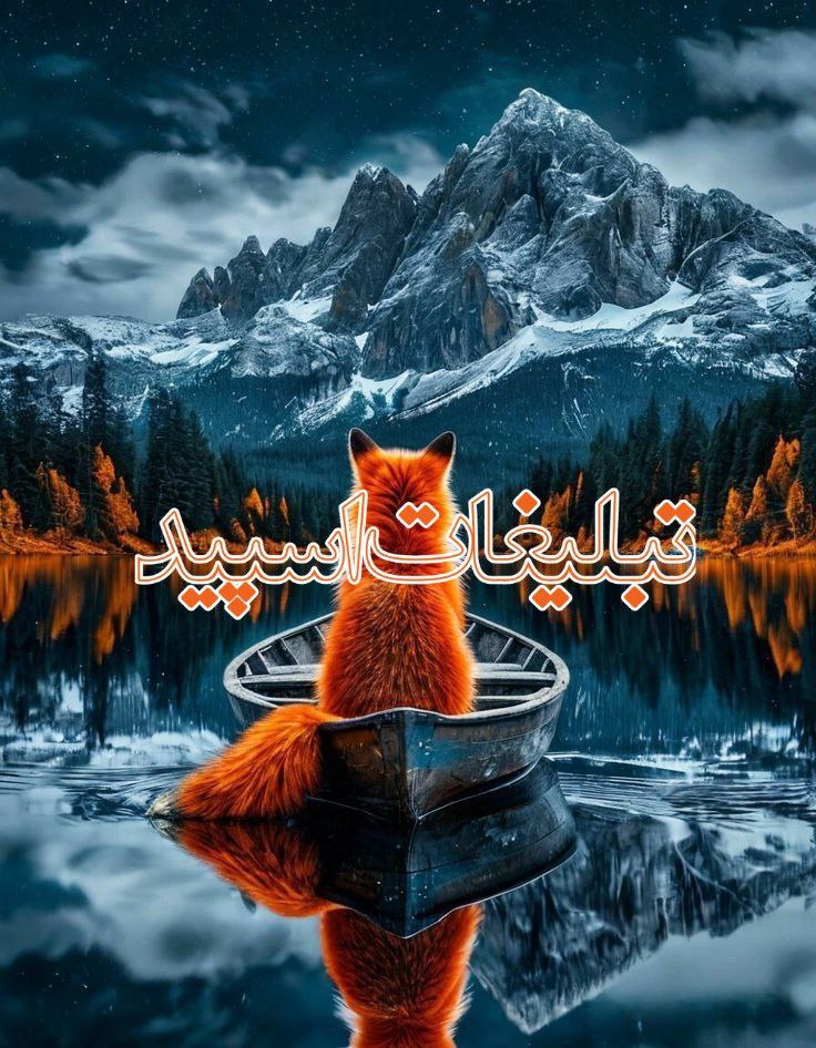 وایلد ولف (324)