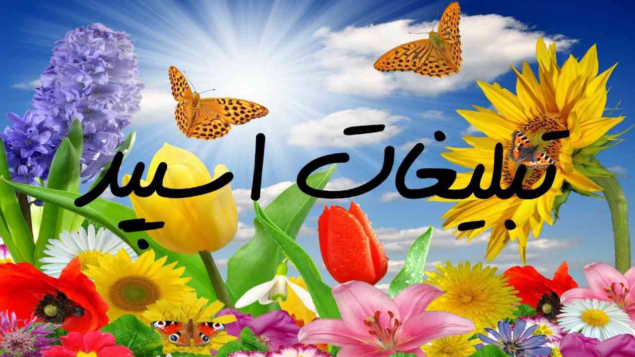 گروه چت تلگرام دورهمی بهترینا
