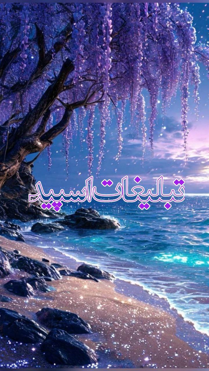 وایلد ولف (332)