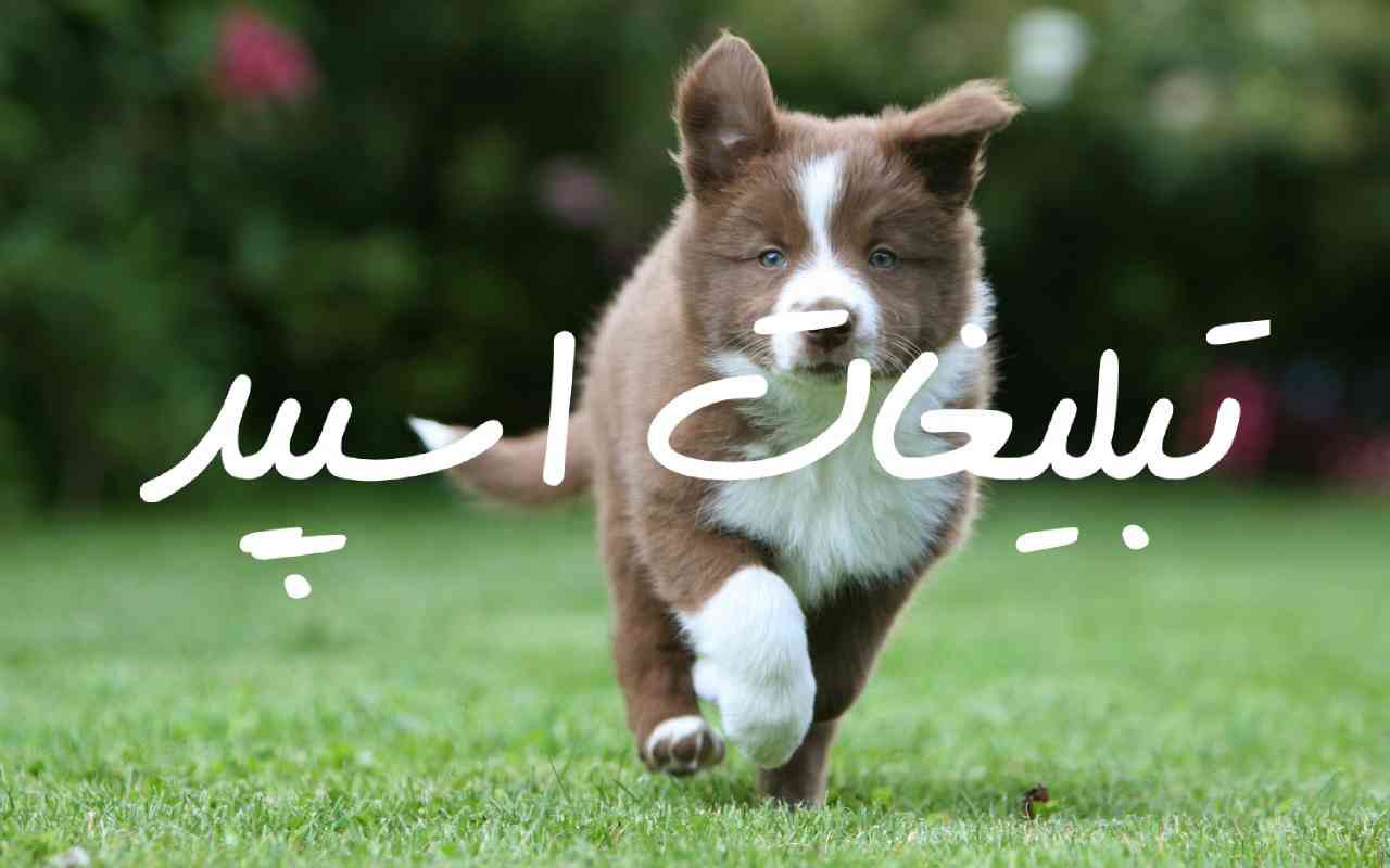 گروه چت تلگرام آلاچیق دوستانه