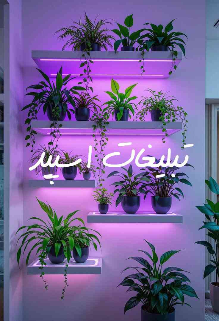 گپ تلگرام کافه دلها