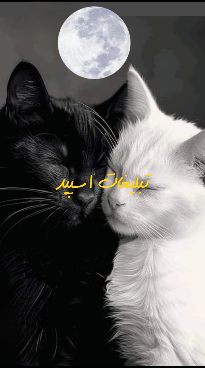 گروه تلگرام رز مشکی خراسان